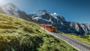 photo 5 1672924686712782108709