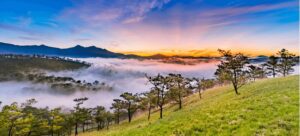 ban do da lat banner